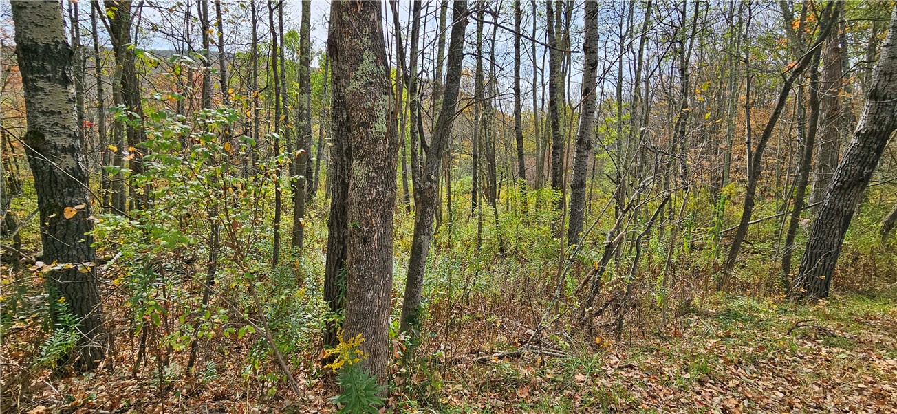 161 Montgomery Hollow Road Roxbury, NY 12474 - Photo 18 of 20