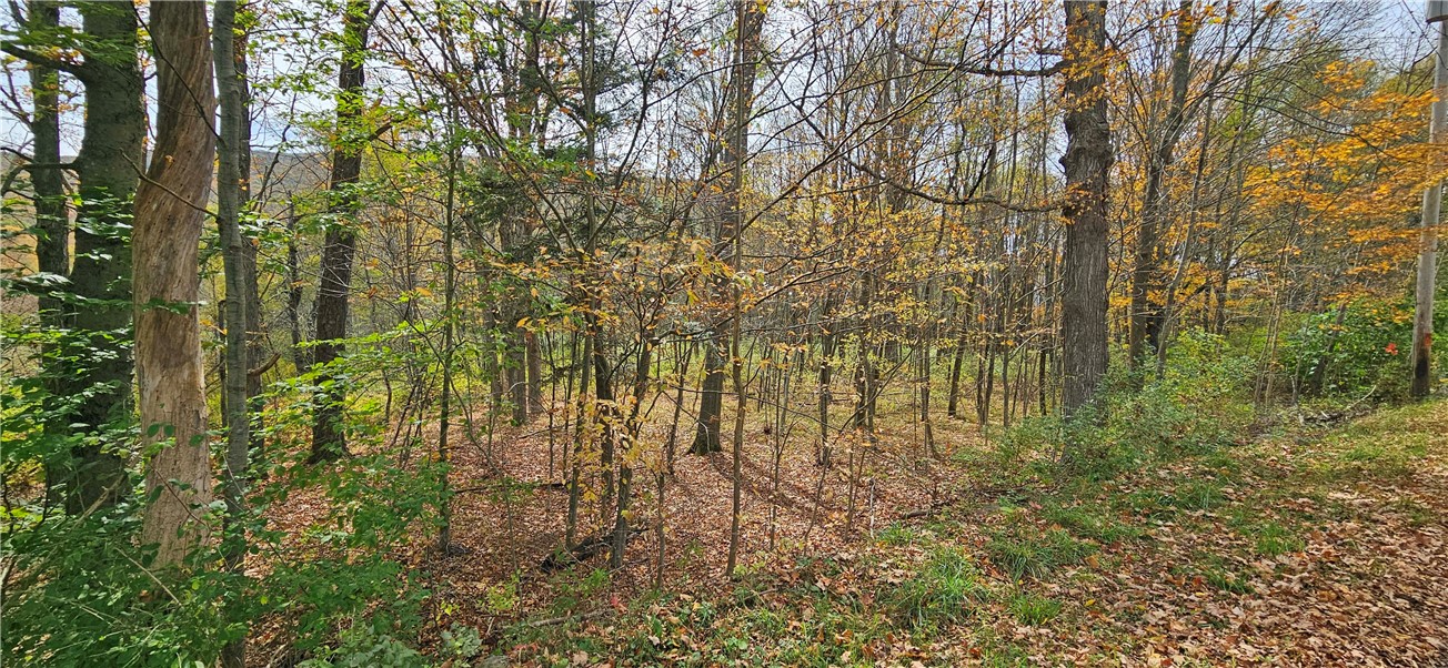 161 Montgomery Hollow Road Roxbury, NY 12474 - Photo 19 of 20