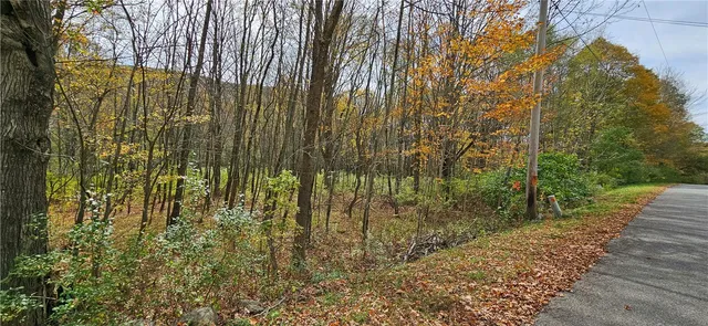 $339,000 | 161 Montgomery Hollow Road, Roxbury, NY 12474