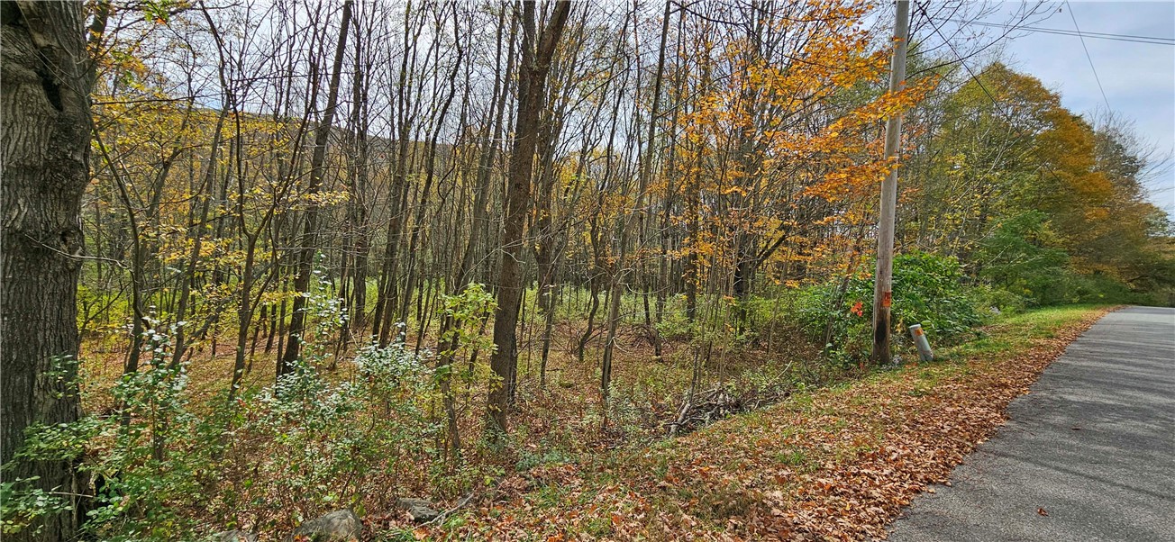 161 Montgomery Hollow Road Roxbury, NY 12474 - Photo 20 of 20