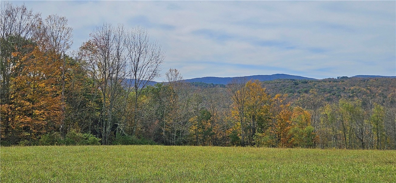 161 Montgomery Hollow Road Roxbury, NY 12474 - Photo 3 of 20