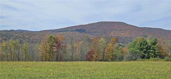 $339,000 | 161 Montgomery Hollow Road, Roxbury, NY 12474