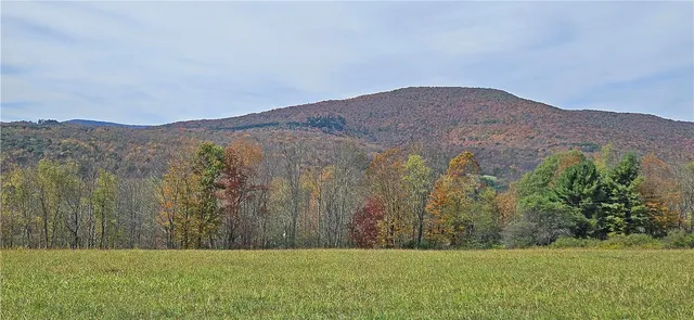 $339,000 | 161 Montgomery Hollow Road, Roxbury, NY 12474