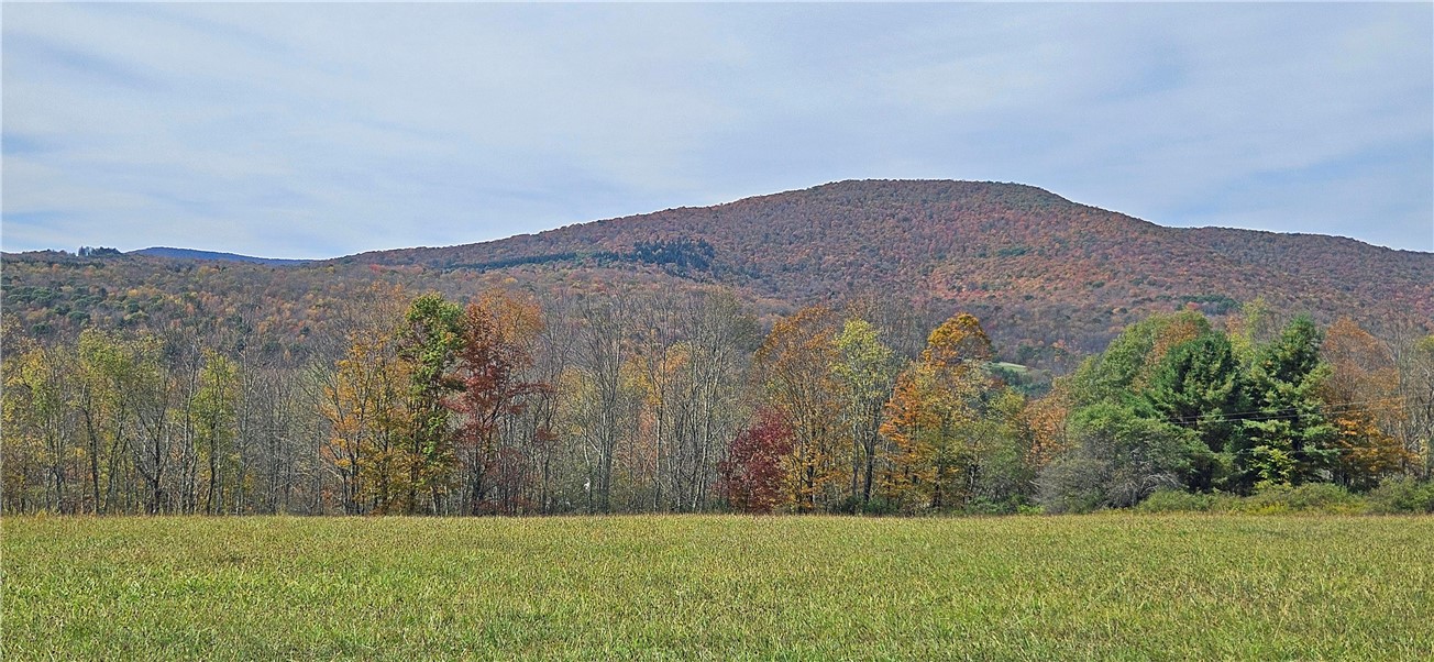 161 Montgomery Hollow Road Roxbury, NY 12474 - Photo 4 of 20