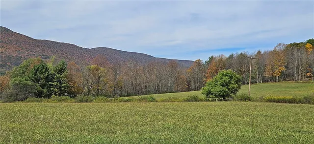 $339,000 | 161 Montgomery Hollow Road, Roxbury, NY 12474