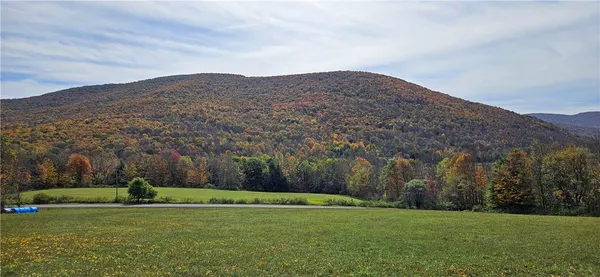 $339,000 | 161 Montgomery Hollow Road, Roxbury, NY 12474