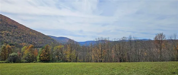 $339,000 | 161 Montgomery Hollow Road, Roxbury, NY 12474
