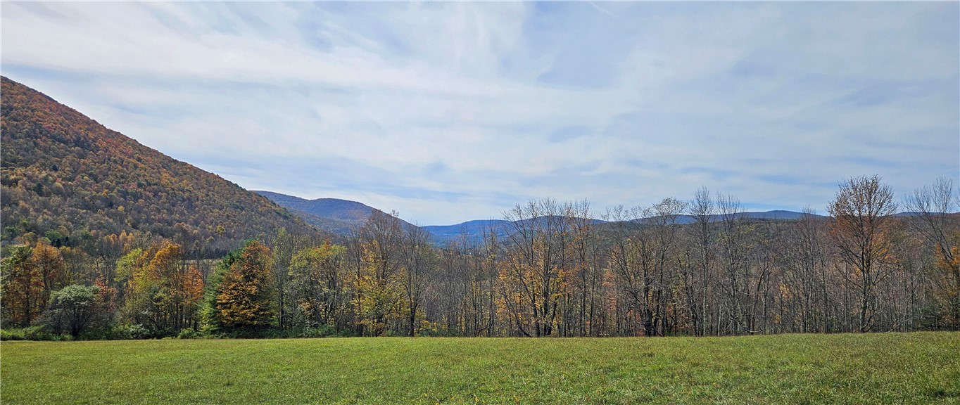 161 Montgomery Hollow Road Roxbury, NY 12474 - Photo 7 of 20