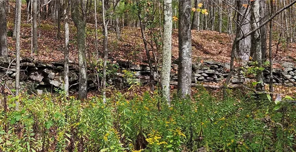 $339,000 | 161 Montgomery Hollow Road, Roxbury, NY 12474