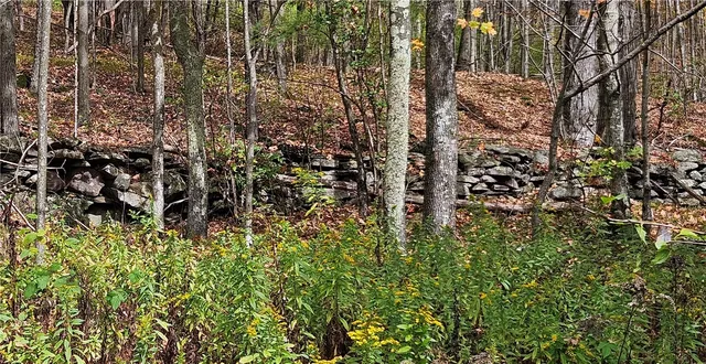 $339,000 | 161 Montgomery Hollow Road, Roxbury, NY 12474