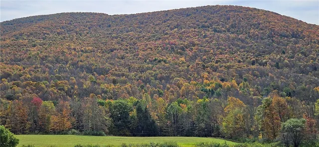 $339,000 | 161 Montgomery Hollow Road, Roxbury, NY 12474