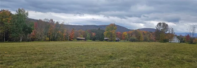 $339,000 | 161 Montgomery Hollow Road, Roxbury, NY 12474