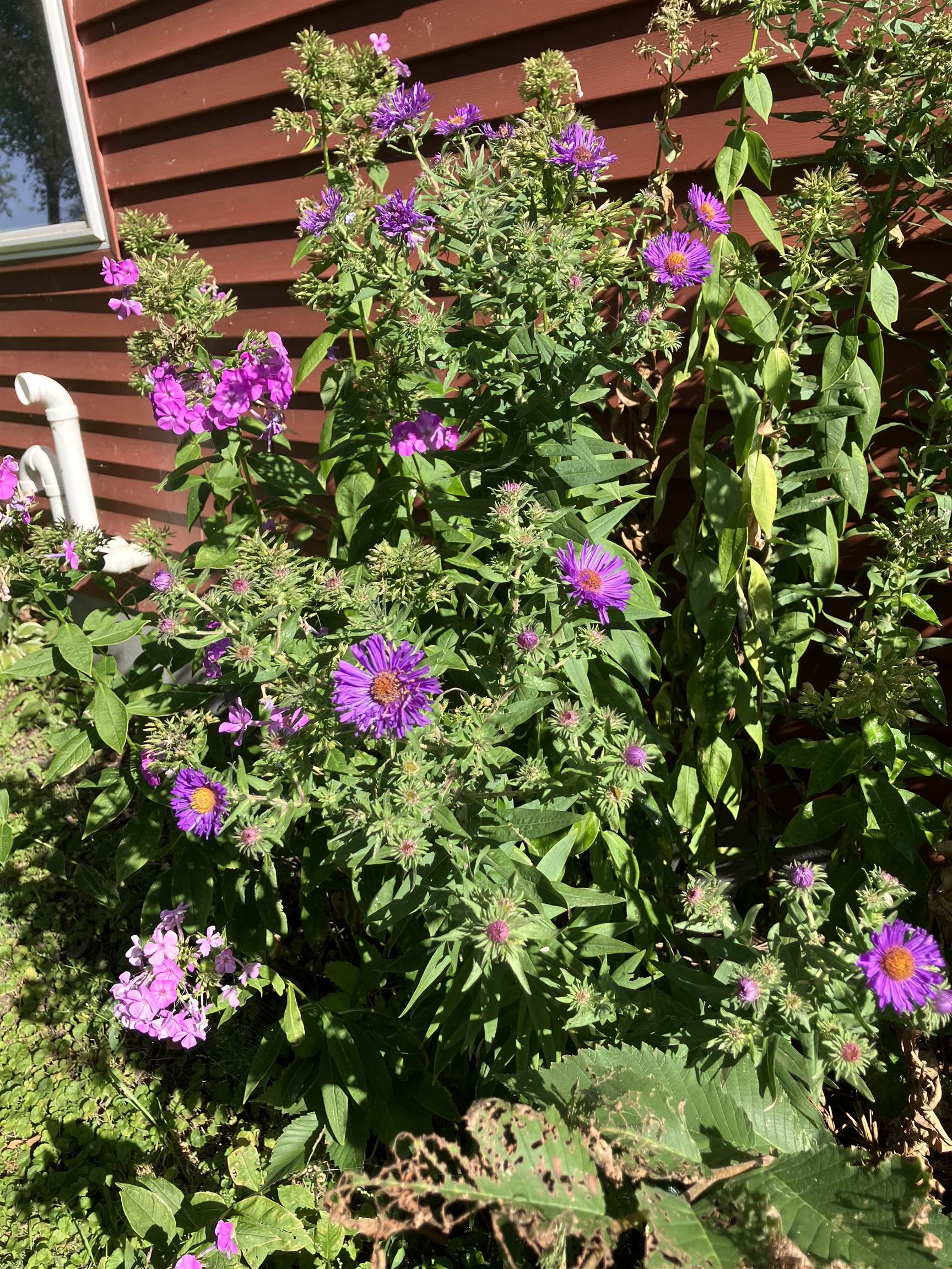 N9896 Winnebago Heights Road Malone, WI 53049 - Photo 23 of 57