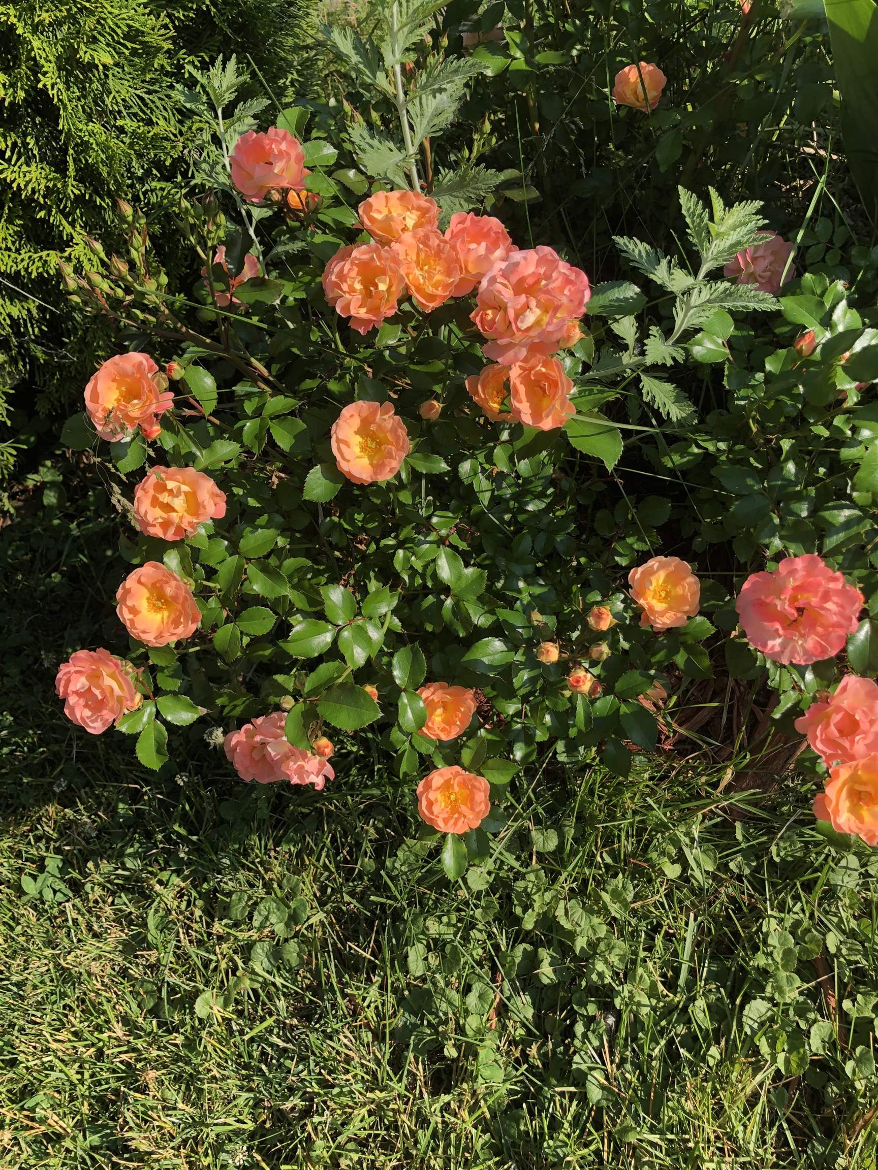 N9896 Winnebago Heights Road Malone, WI 53049 - Photo 26 of 57