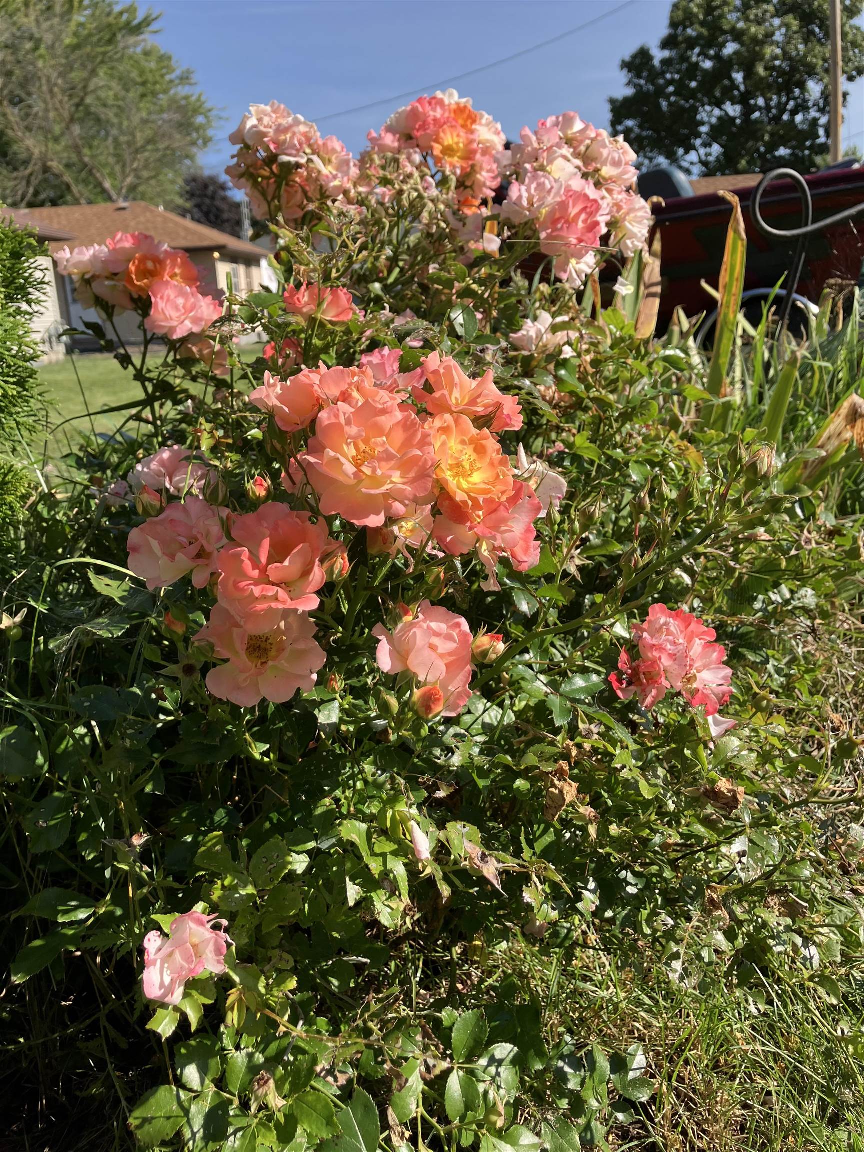 N9896 Winnebago Heights Road Malone, WI 53049 - Photo 7 of 57