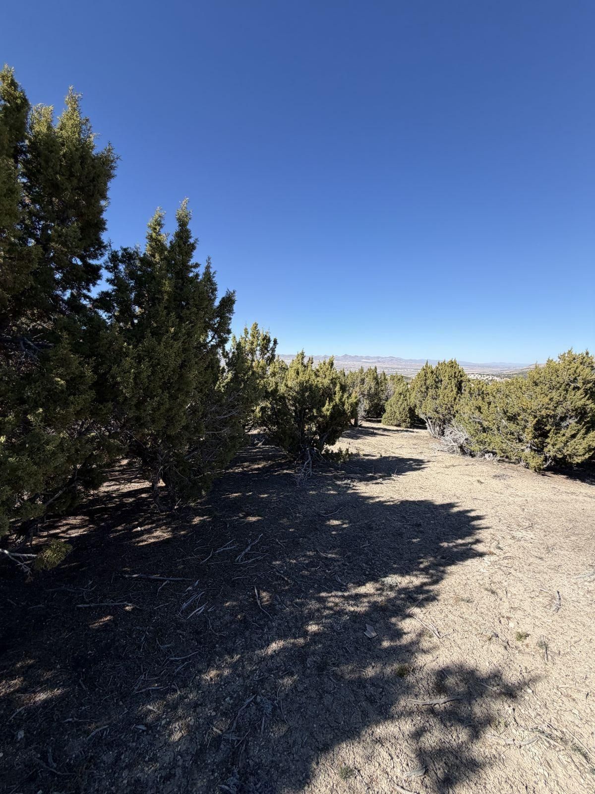 Andy's Way Elko, NV 89801 - Photo 15 of 16