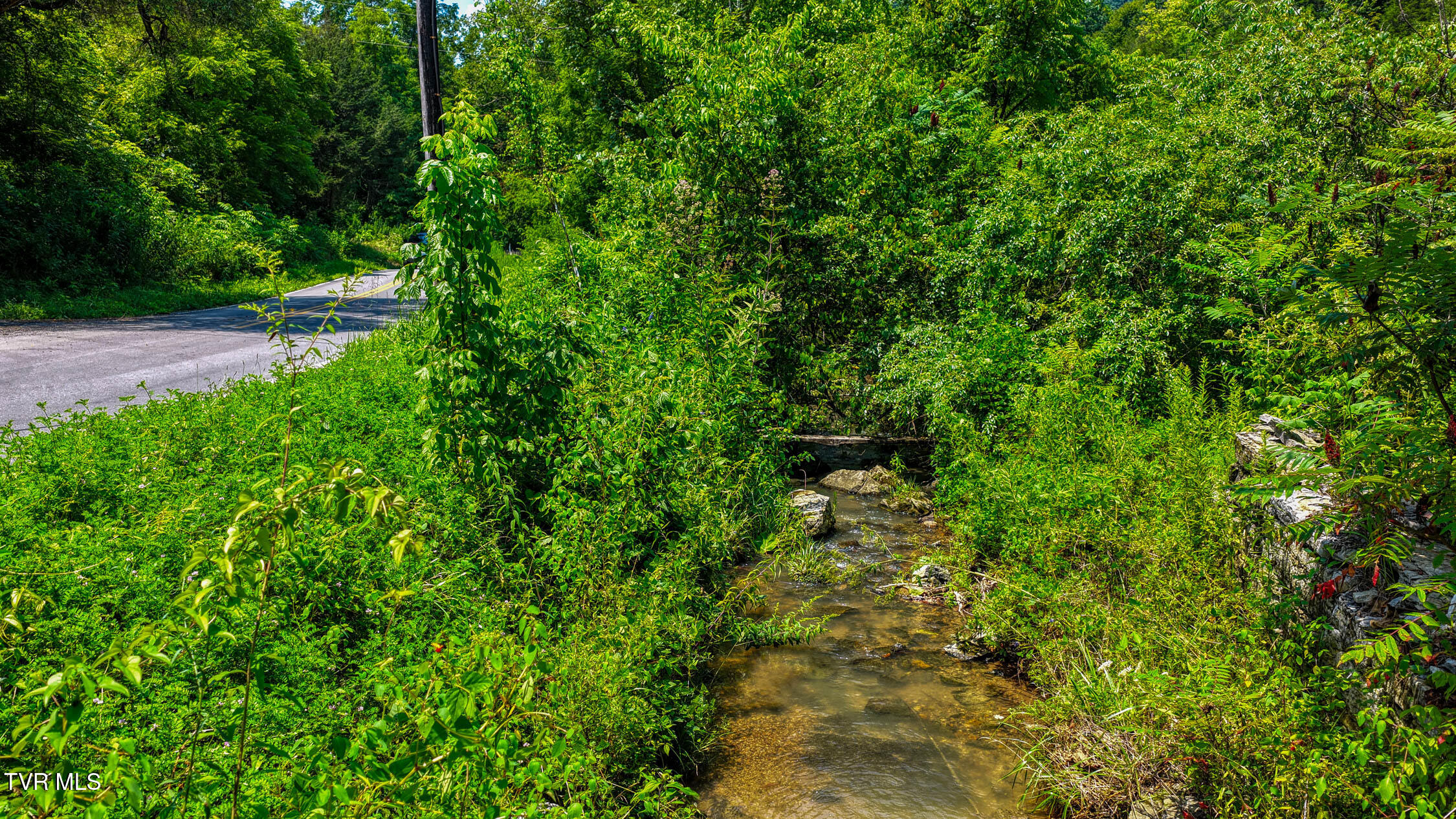 Tbd Sweet Creek Road, Unit TBD Eidson, TN 37731 - Photo 12 of 52 Sweet Creek. Eidson MLSa (11 of 51)