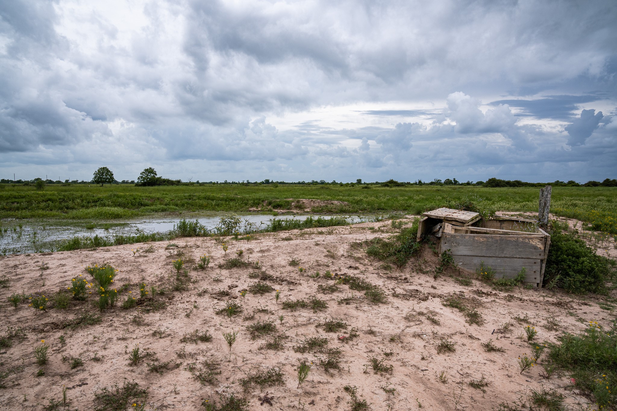 Tbd Rice Road Cat Spring, TX 78933 - Photo 21 of 39 a view of a lake with houses in back