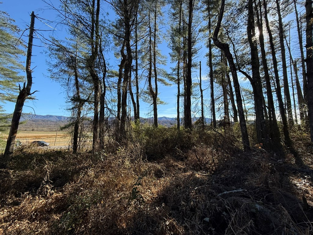 0 Airport Road Andrews, NC 28901 - Photo 11 of 12