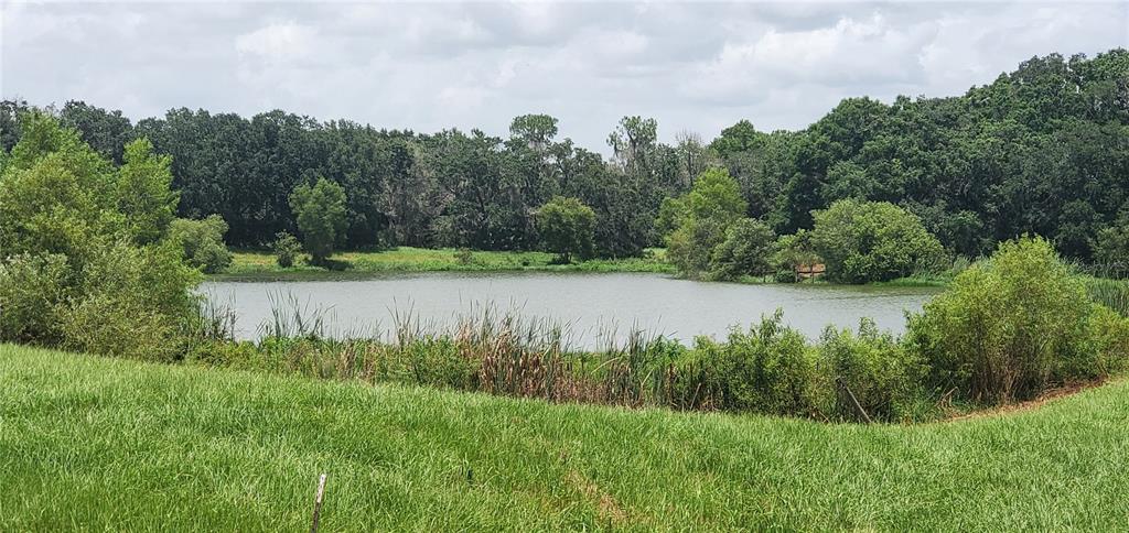 15322 Fishhawk Heights Road Riverview, FL 33569 - Photo 1 of 1