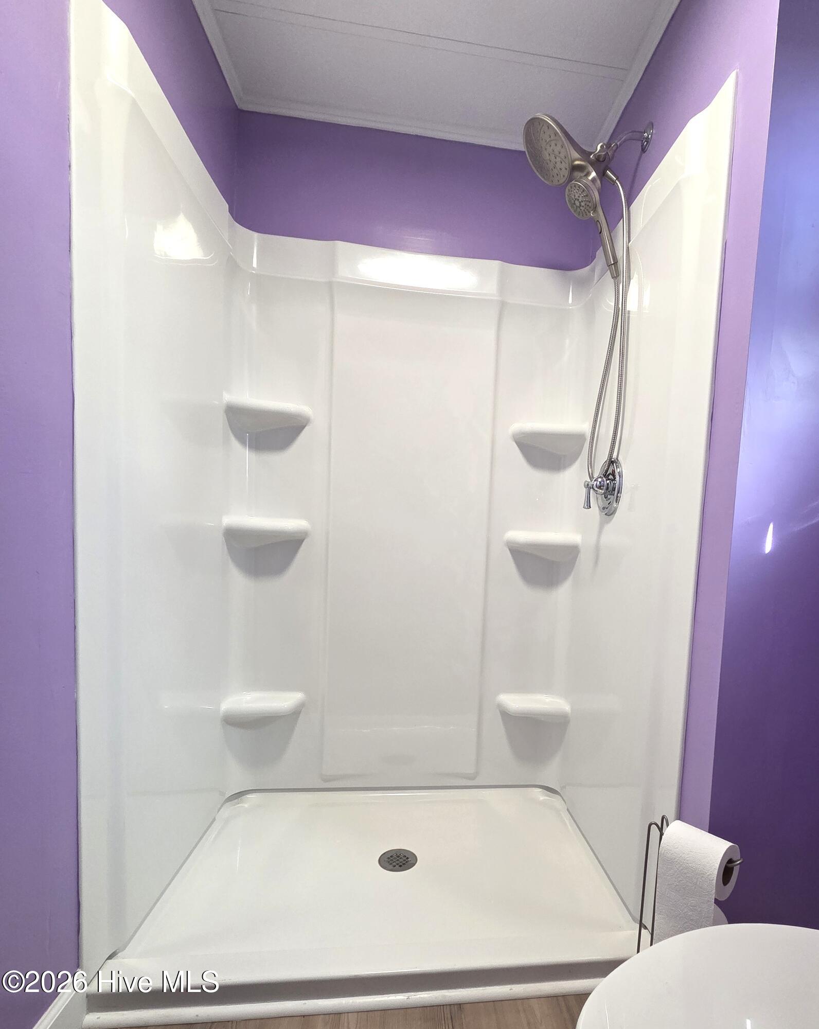 2735 Wilmar Road Vanceboro, NC 28586 - Photo 9 of 34 Primary bath