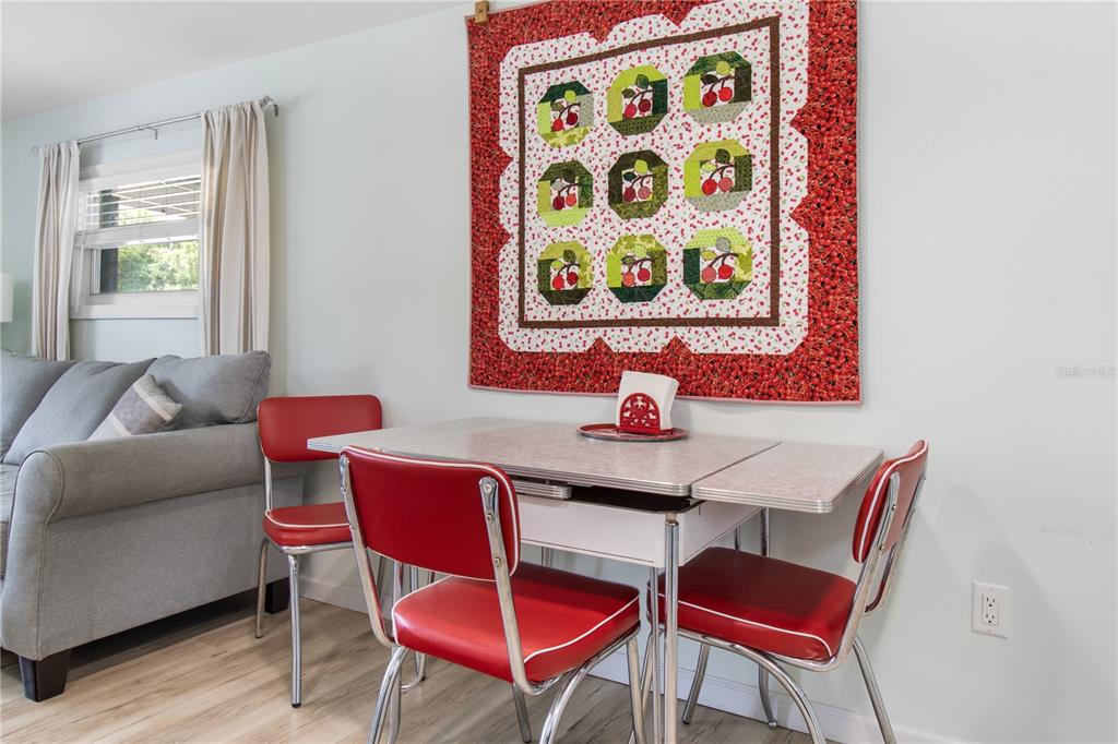 741 South Kauri Way Inverness, FL 34450 - Photo 8 of 28