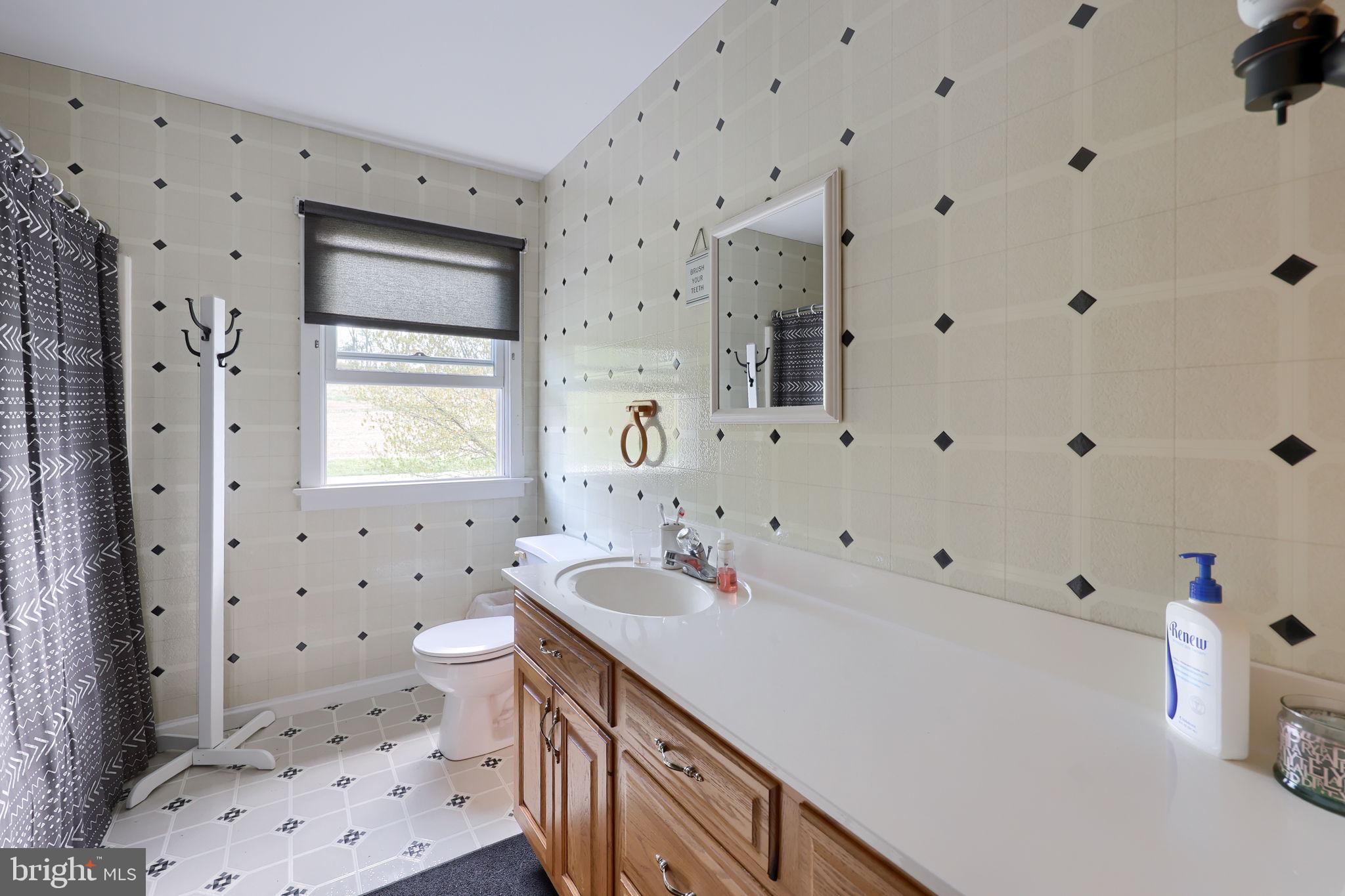480 Jacobs Road Narvon, PA 17555 - Photo 45 of 90 a bathroom with a sink toilet and shower