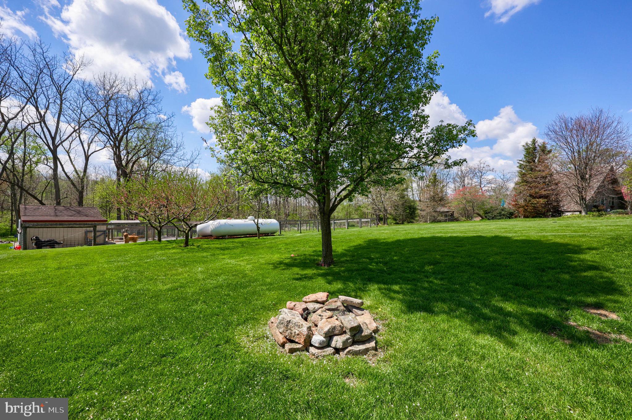 480 Jacobs Road Narvon, PA 17555 - Photo 53 of 90 Serene green space under blue skies.