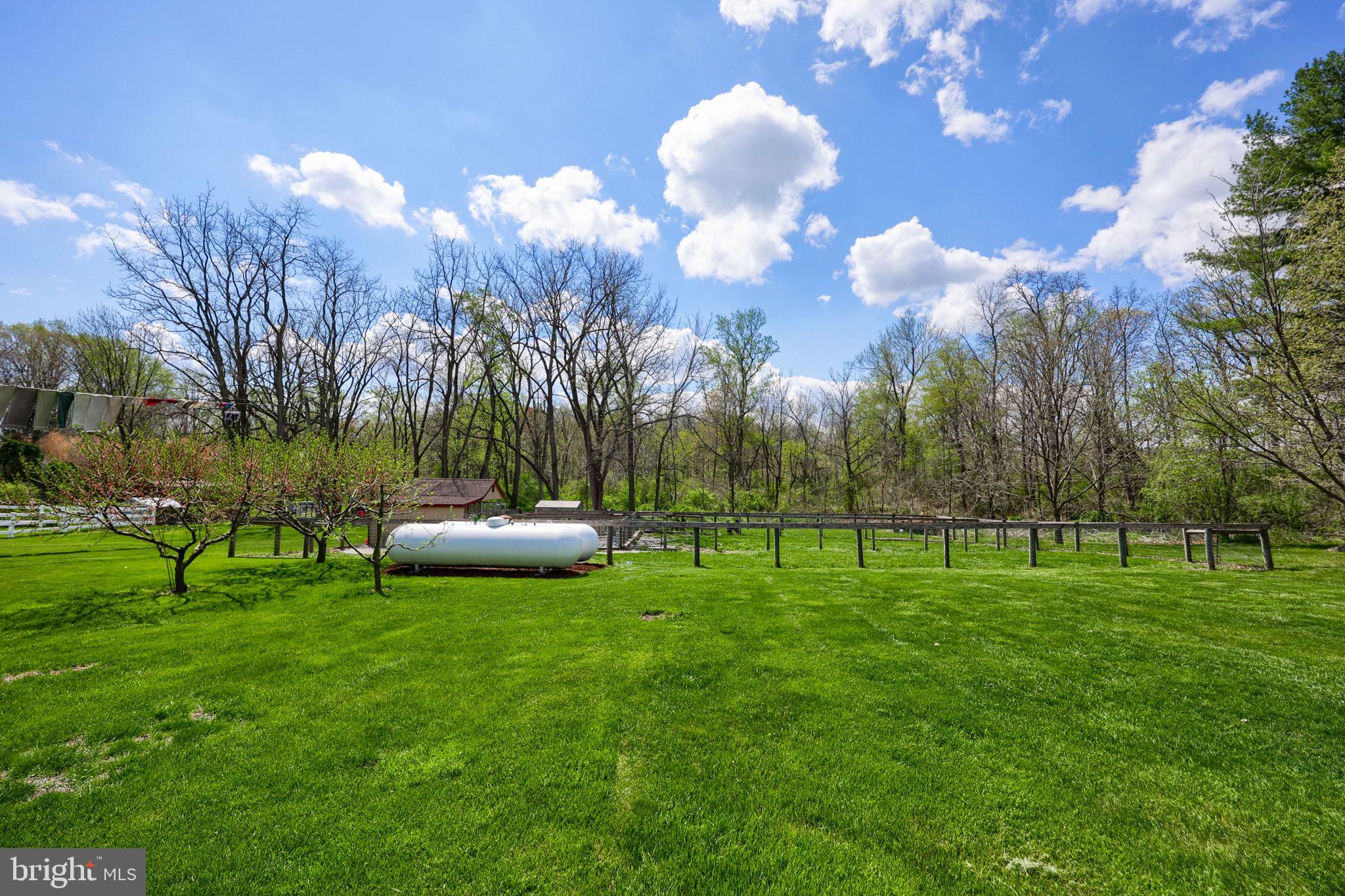 480 Jacobs Road Narvon, PA 17555 - Photo 55 of 90 Serene green space under blue skies.