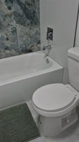 a bathroom with a toilet and a bathtub