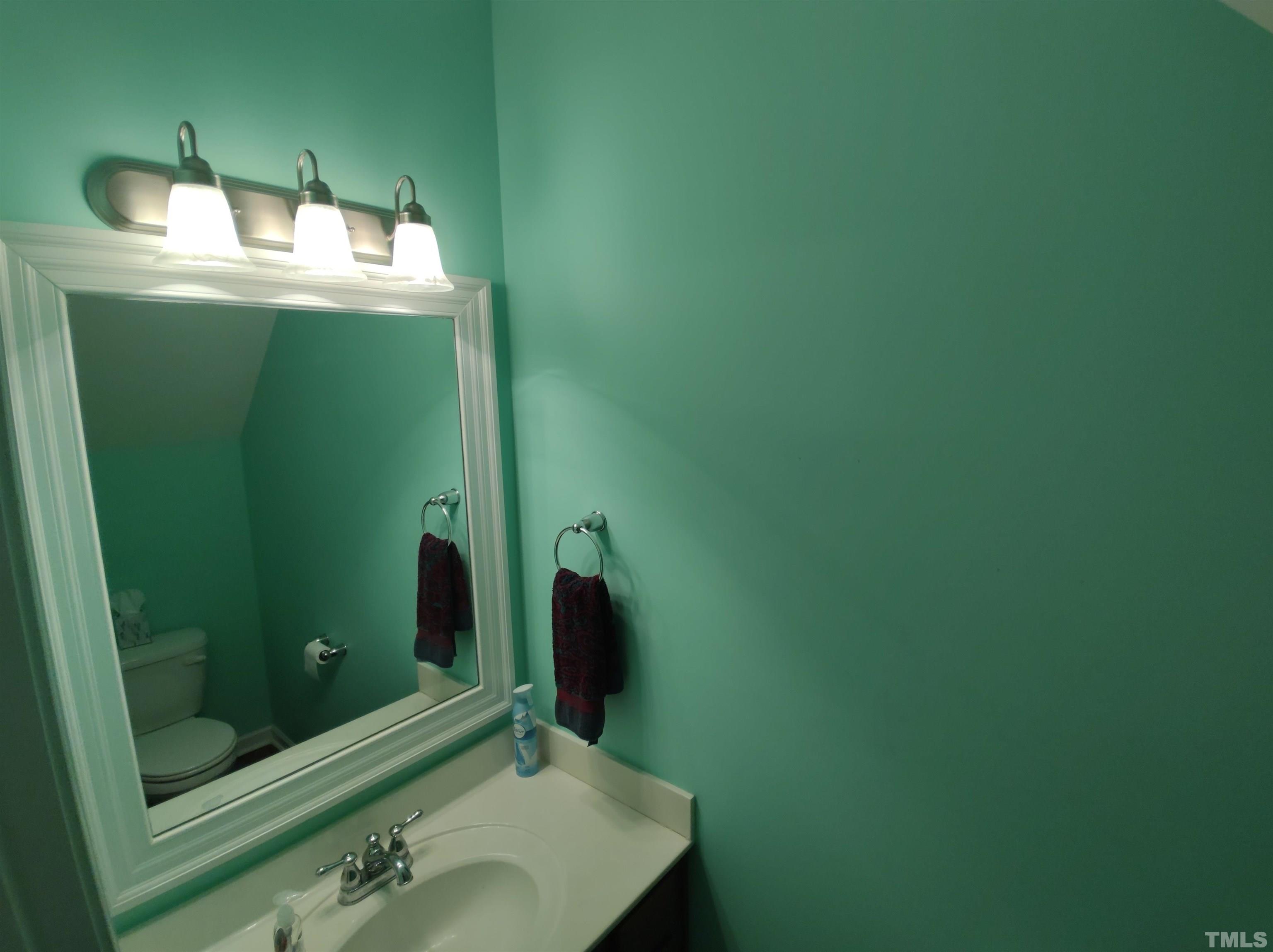 1125 Ileagnes Road Raleigh, NC 27603 - Photo 13 of 27 a bathroom with a sink and mirror