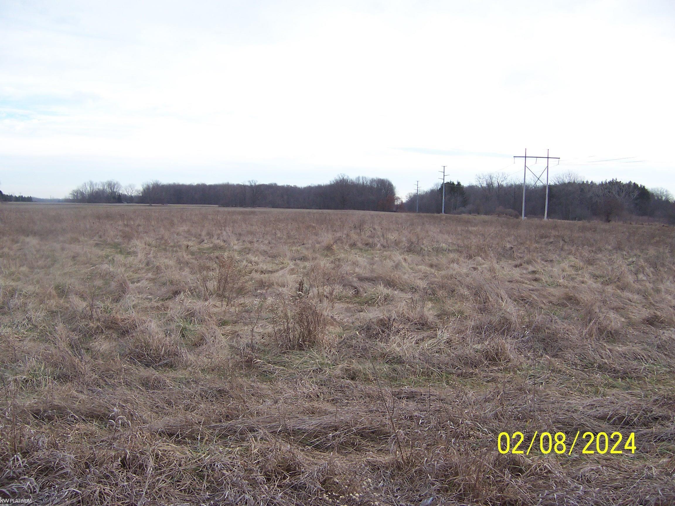 Lot B Vincent Road North Street, MI 48049 - Photo 1 of 2