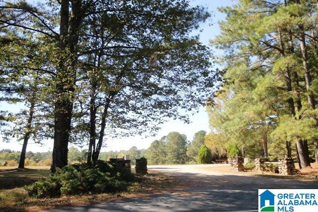 0 County Road 928, Unit 19 Delta, AL 36258 - Photo 19 of 43