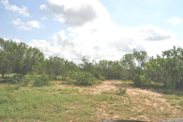 a view of a yard with a trees