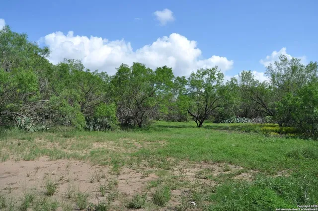a view of a big yard with a house