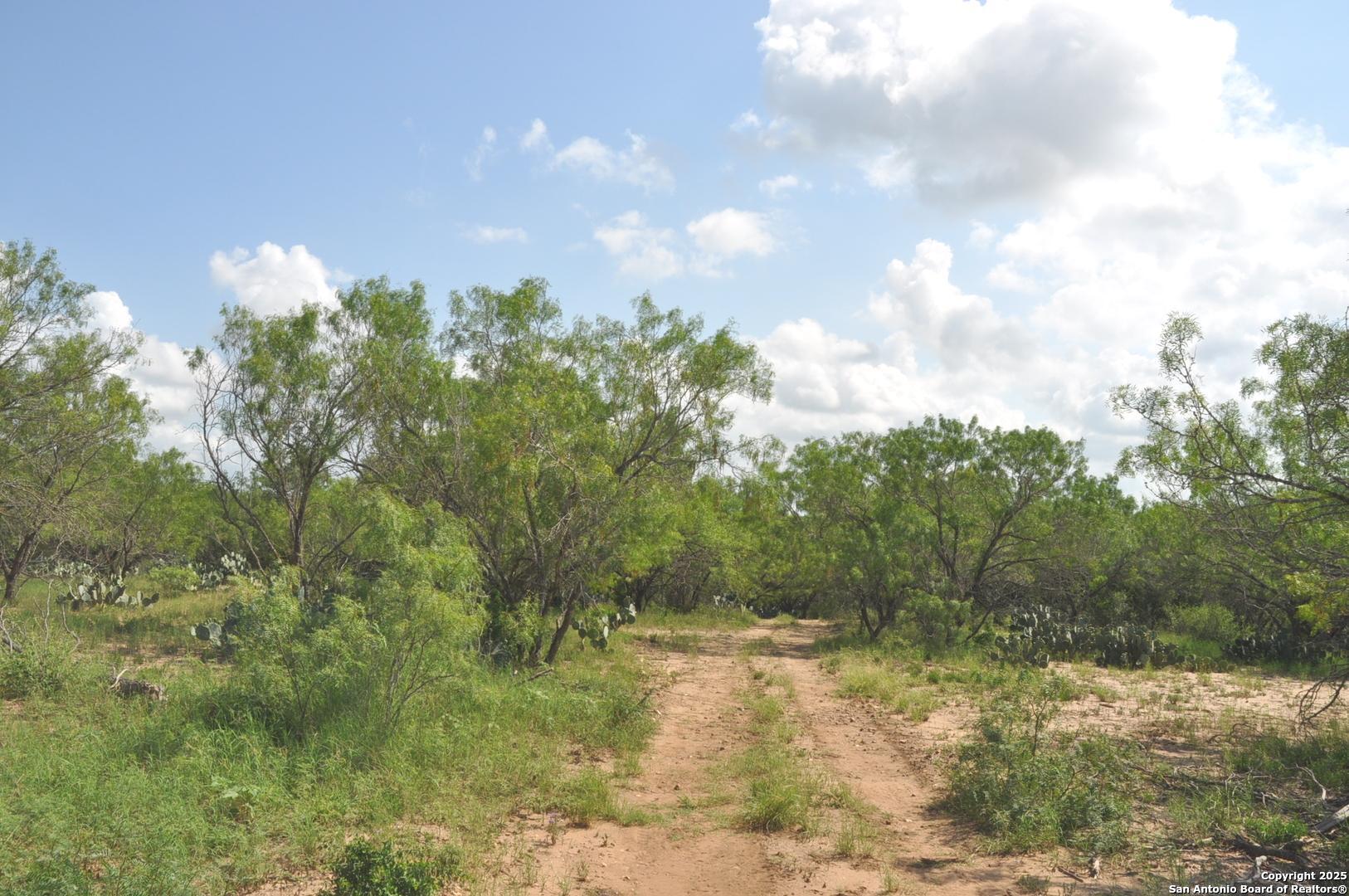 Tbd Cr 662 Devine, TX 78016 - Photo 6 of 8 a view of a yard with trees in the background