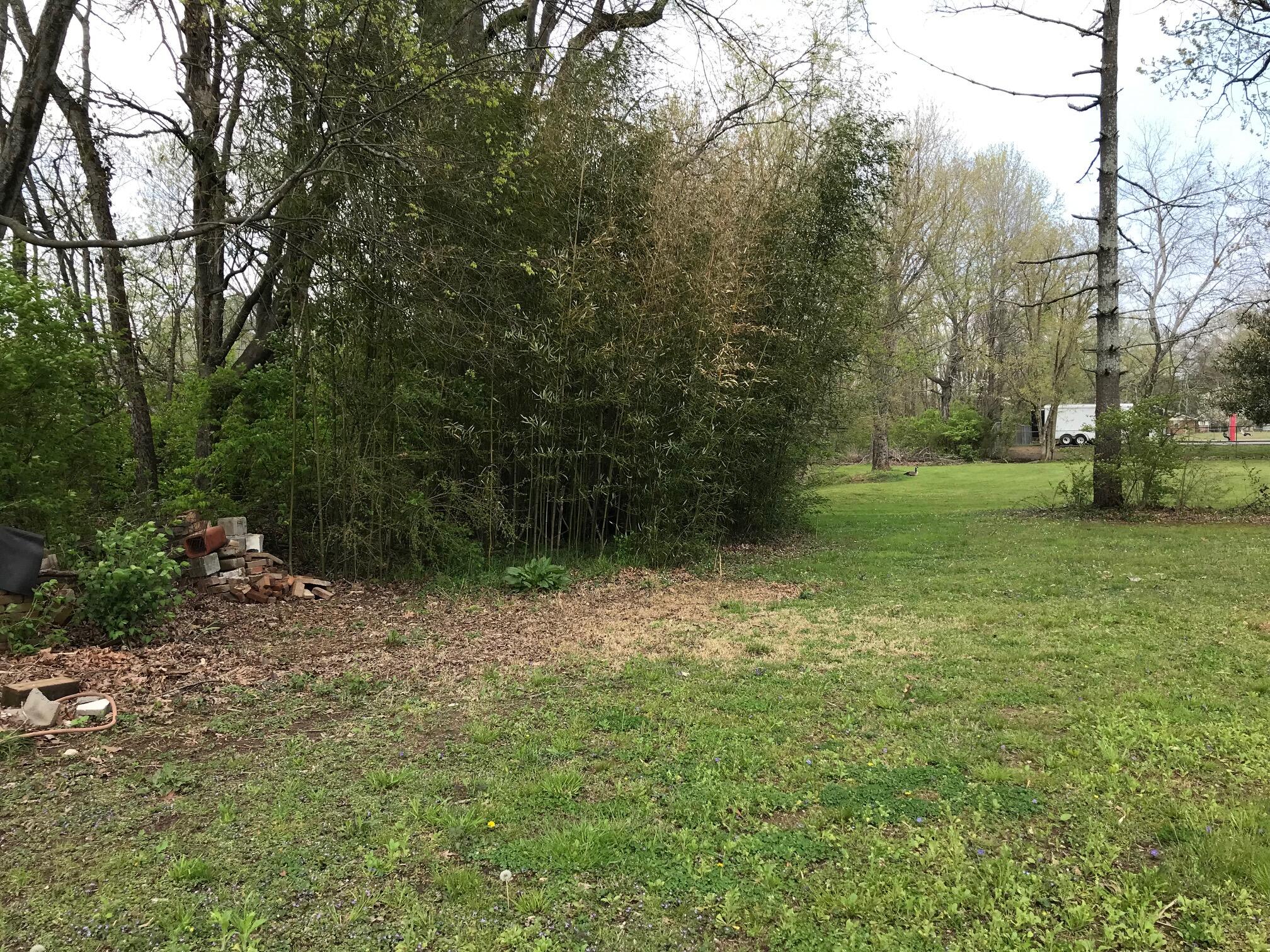 313 Springhill Drive Northeast Cleveland, TN 37312 - Photo 32 of 36 IMG_3193