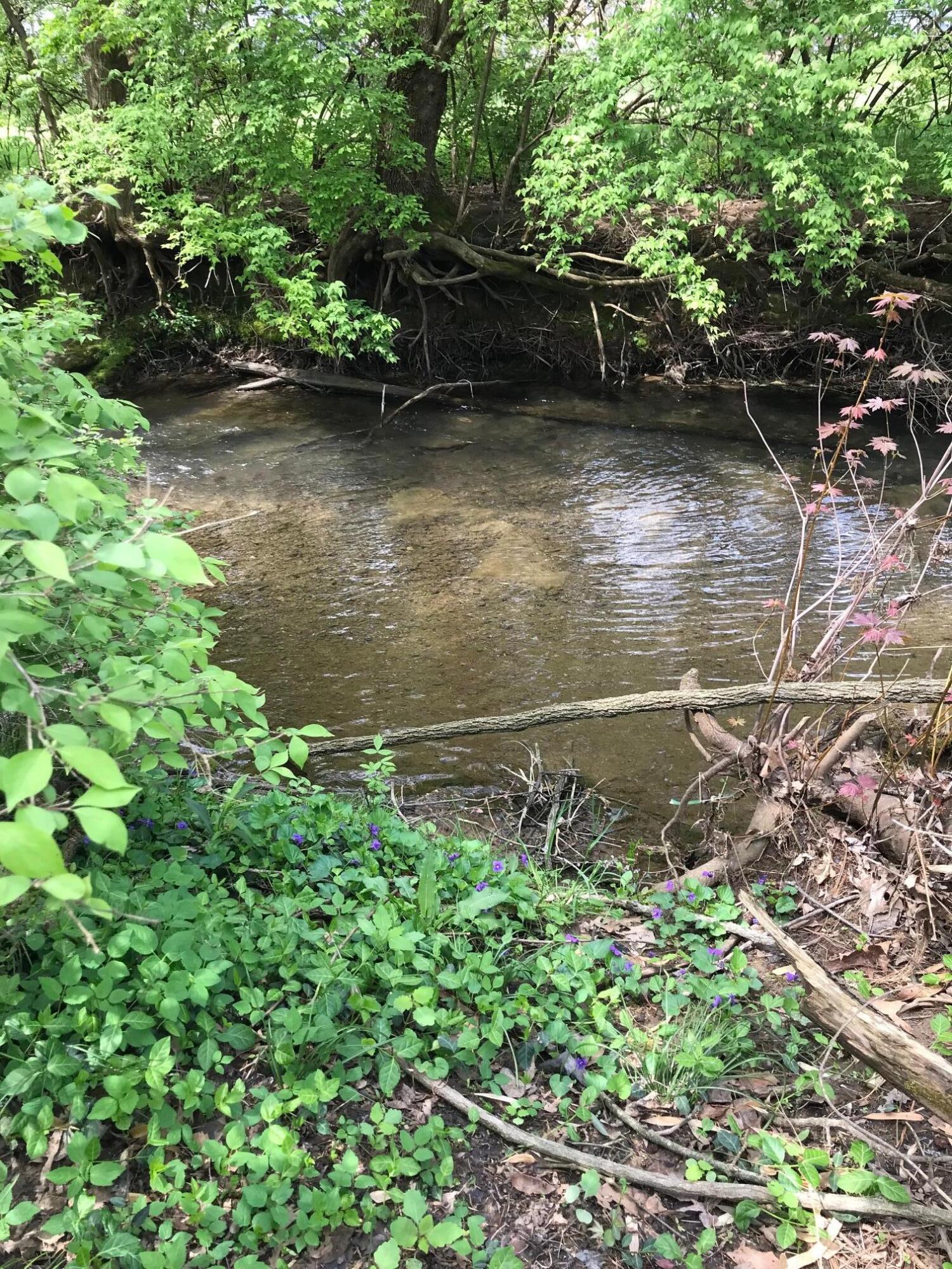 313 Springhill Drive Northeast Cleveland, TN 37312 - Photo 35 of 36 IMG_3188