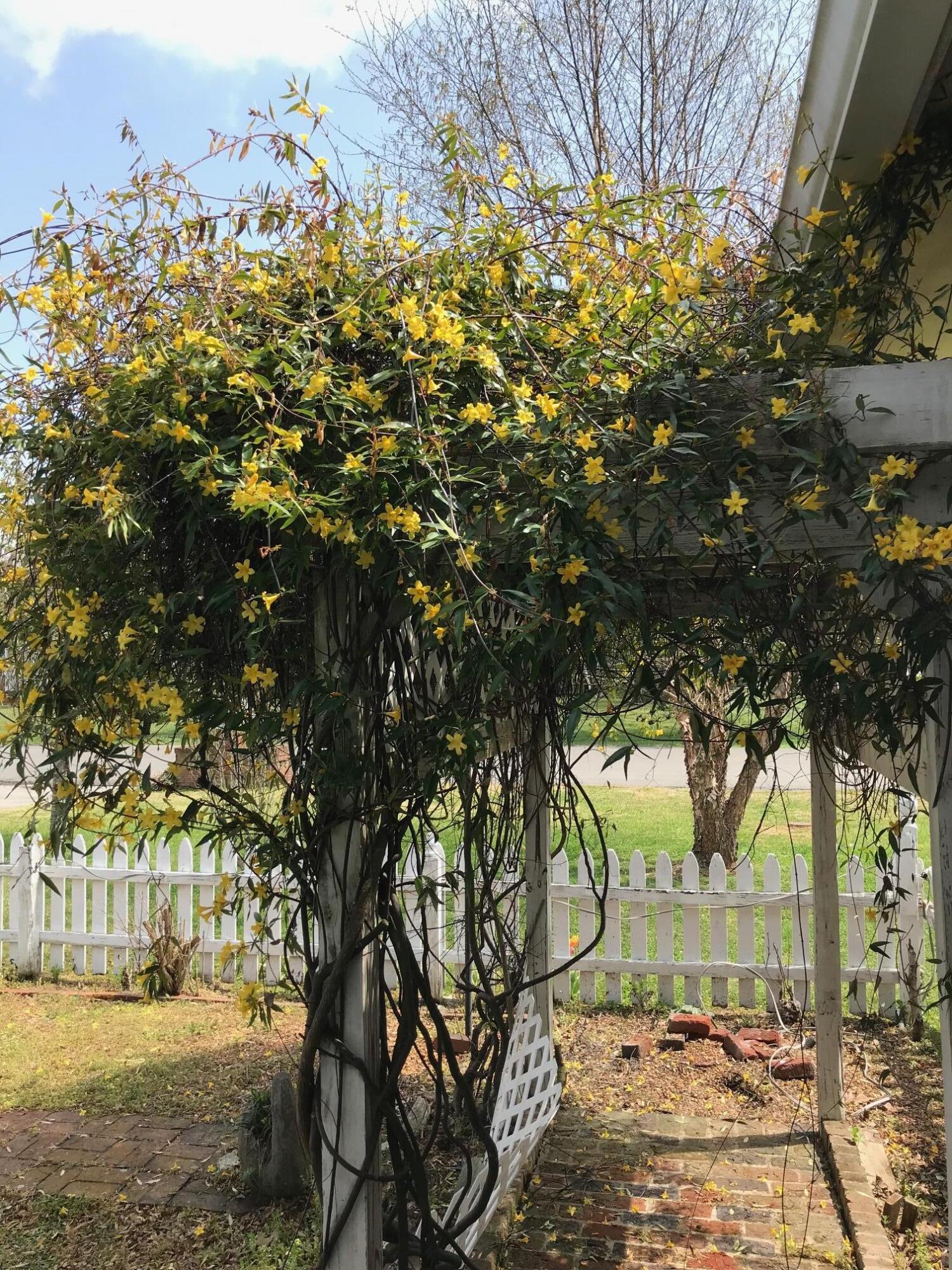 313 Springhill Drive Northeast Cleveland, TN 37312 - Photo 4 of 36 IMG_3169