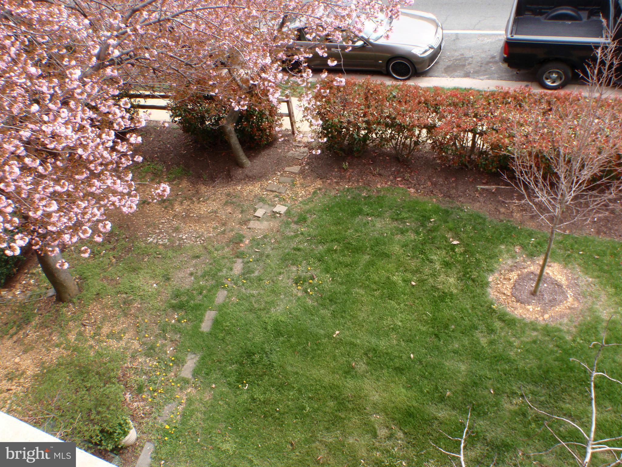 5017 7th Road South, Unit 202 Arlington, VA 22204 - Photo 22 of 26 Exterior (General)