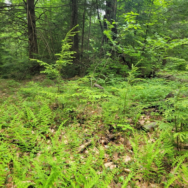 0 Stockwell Road Royalston, MA 01368 - Photo 2 of 8