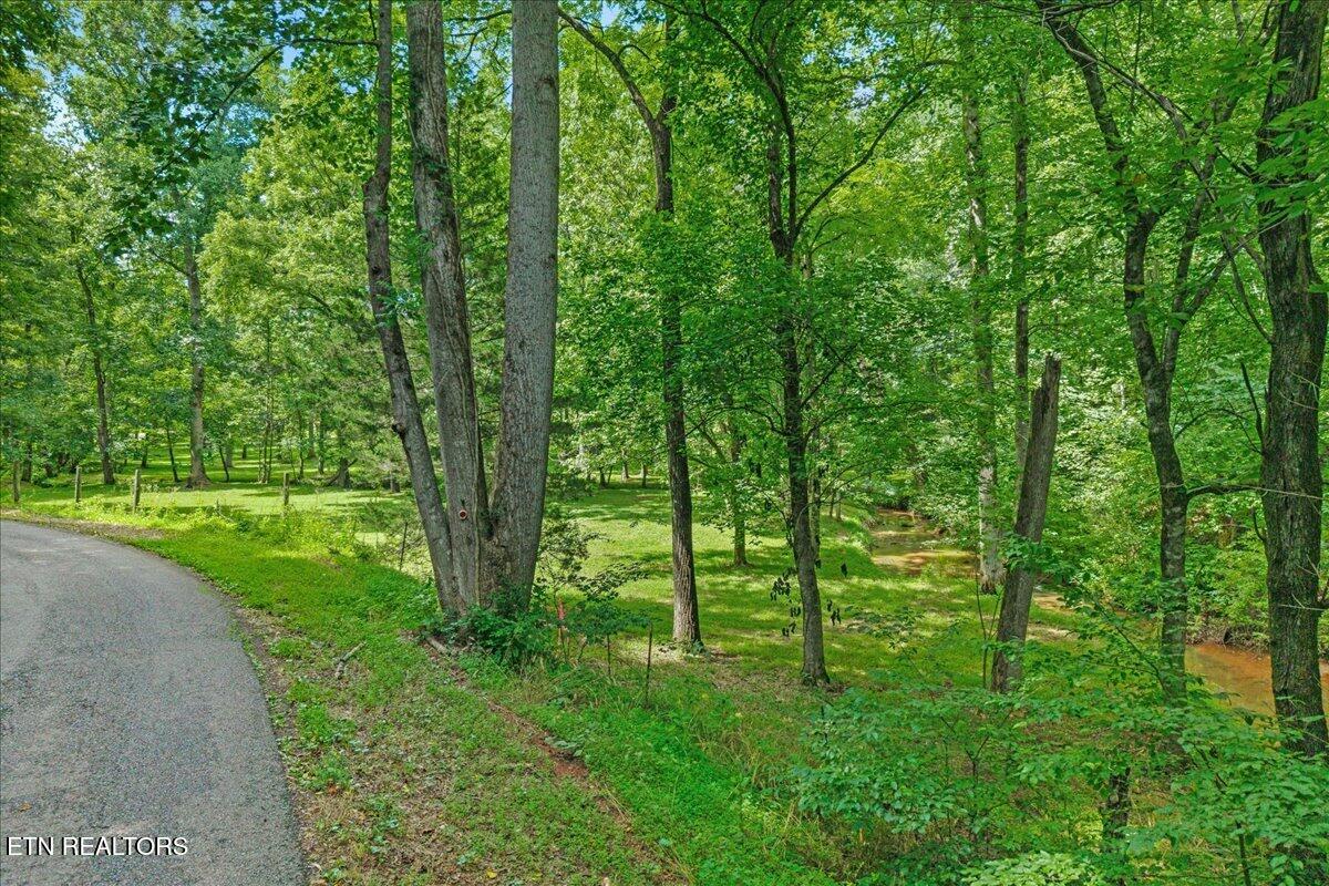 Brunner Road Madisonville, TN 37354 - Photo 7 of 15 17-00 Brunner Rd-17