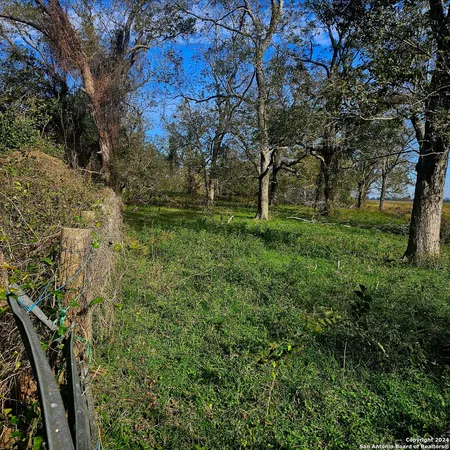 a view of a yard with a tree