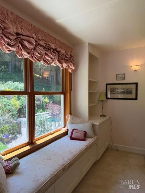 16875 Coleman Valley Road Occidental, CA 95465 - Photo 47 of 78
