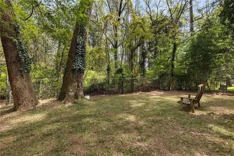 a view of a tree in the middle of a yard