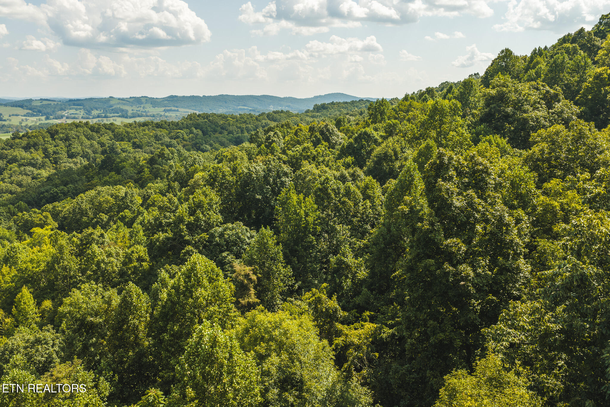 Watson Hollow Road Speedwell, TN 37870 - Photo 21 of 37 DJI_20260902153639_0922_D