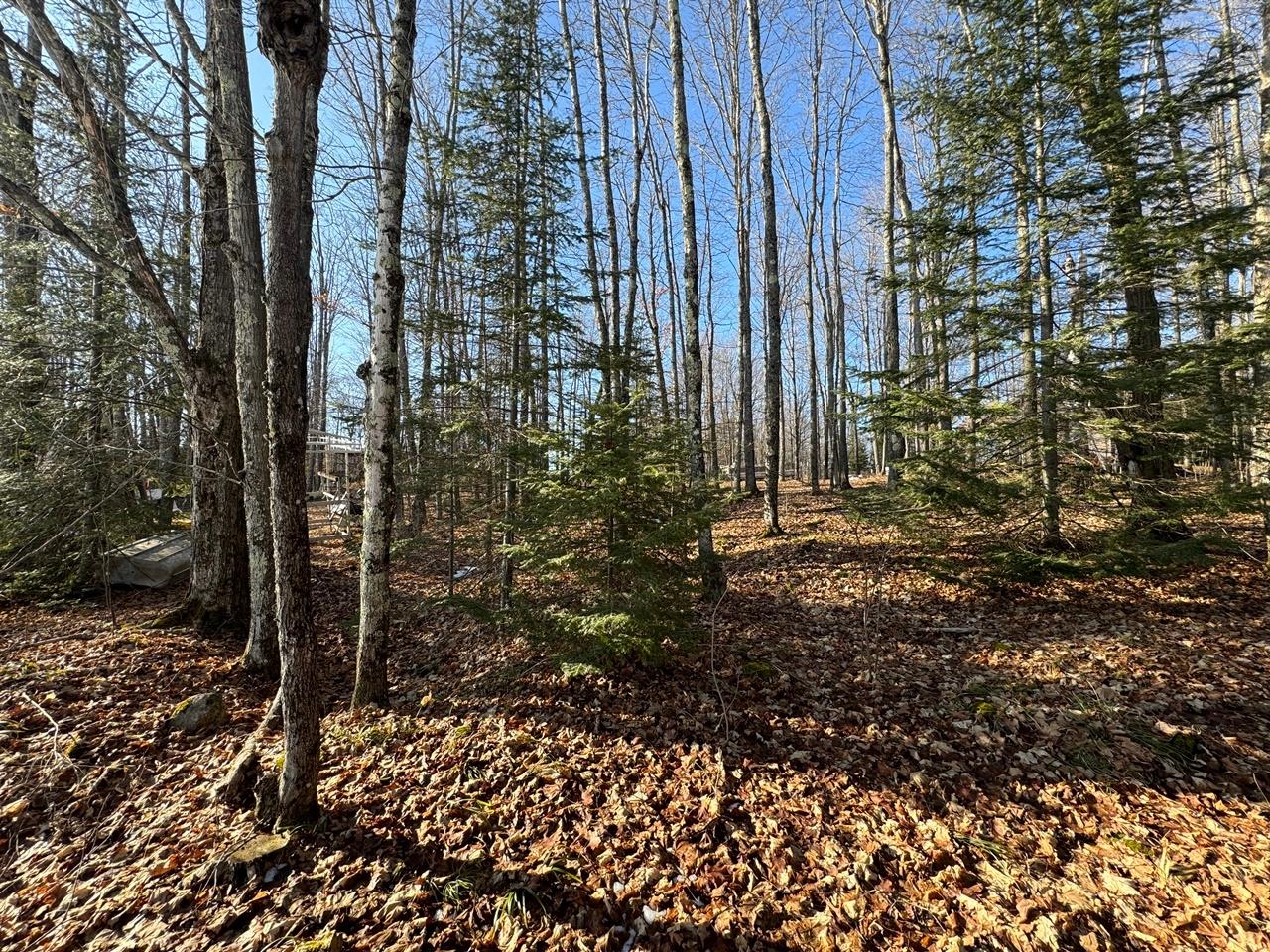 6054 West Dam Road Butternut, WI 54514 - Photo 23 of 28 Gallery Image 23