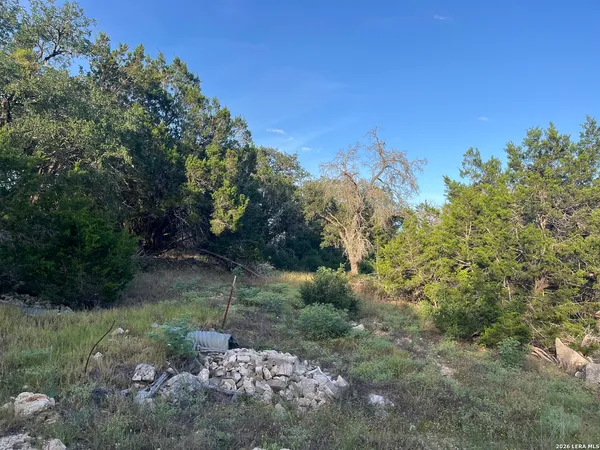 $100,000 | 1615 Forest Lake Drive, Spring Branch, TX 78070