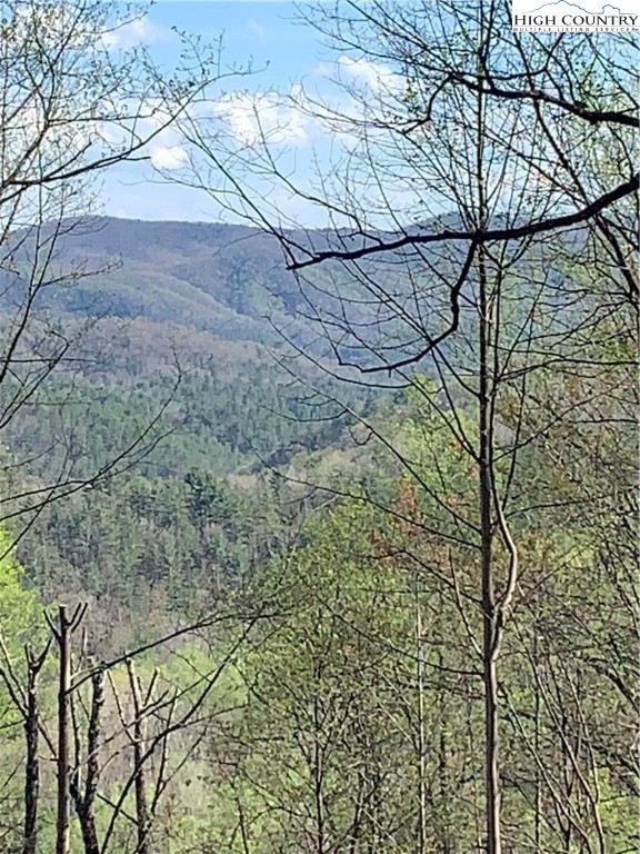 378 Horseshoe Ridge Road East Deep Gap, NC 28618 - Photo 1 of 50 Gallery Image 1