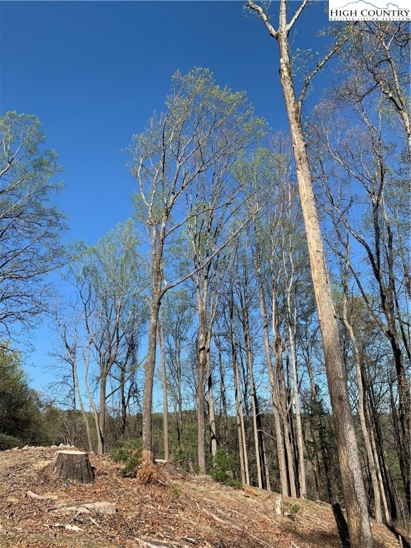 378 Horseshoe Ridge Road East Deep Gap, NC 28618 - Photo 11 of 50 Gallery Image 11
